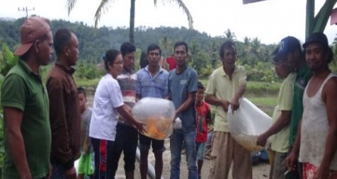 <p>Distribusi bibit ikan dan peralatan pendukung untuk kolam/lokasi ikan di Pardamean Nainggolan.</p>
