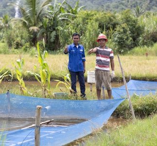 Kegiatan pemberian bibit untuk kegiatan pengembangan perikanan di Desa Pardamean Nainggolan dan Desa Pardomuan Nainggolan